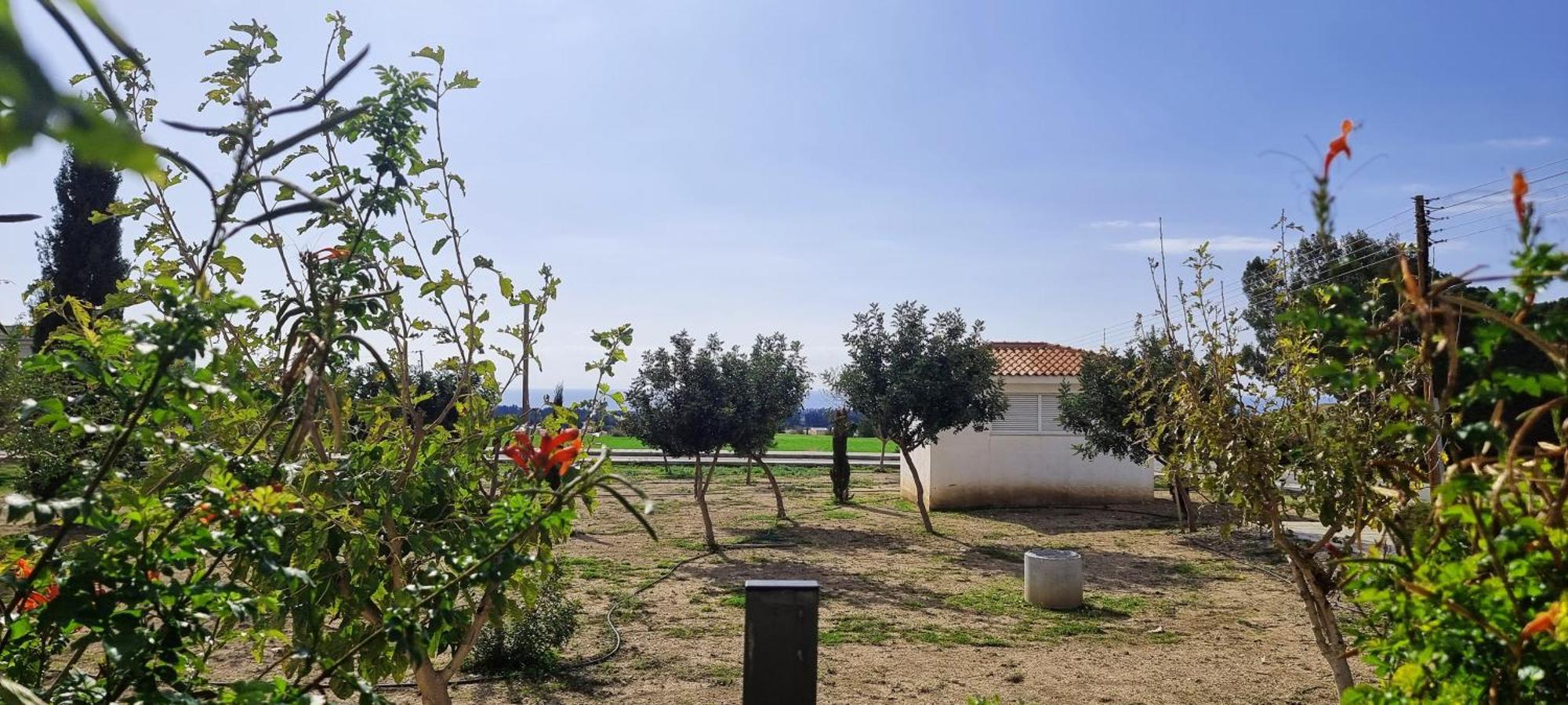 Shanti Paphos Villa Exterior foto