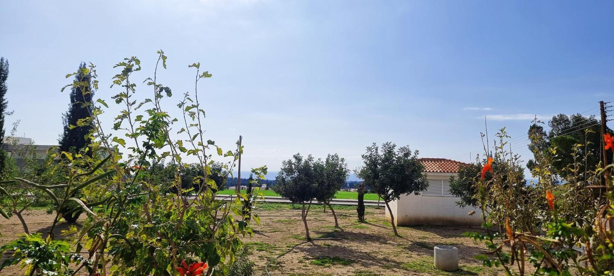 Shanti Paphos Villa Exterior foto